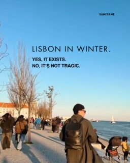Everyone’s gatekeeping Lisbon in winter.
We’re not.
No crowds and really no rush.
You had to be there to feel it (but you still can).
Use code WINTER10 for discount in any booking and we’ll save you a seat.